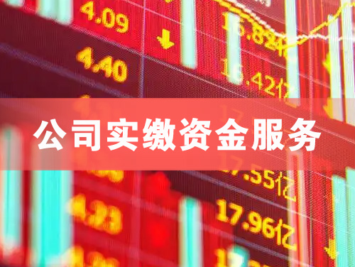 石狮公司实缴资金服务